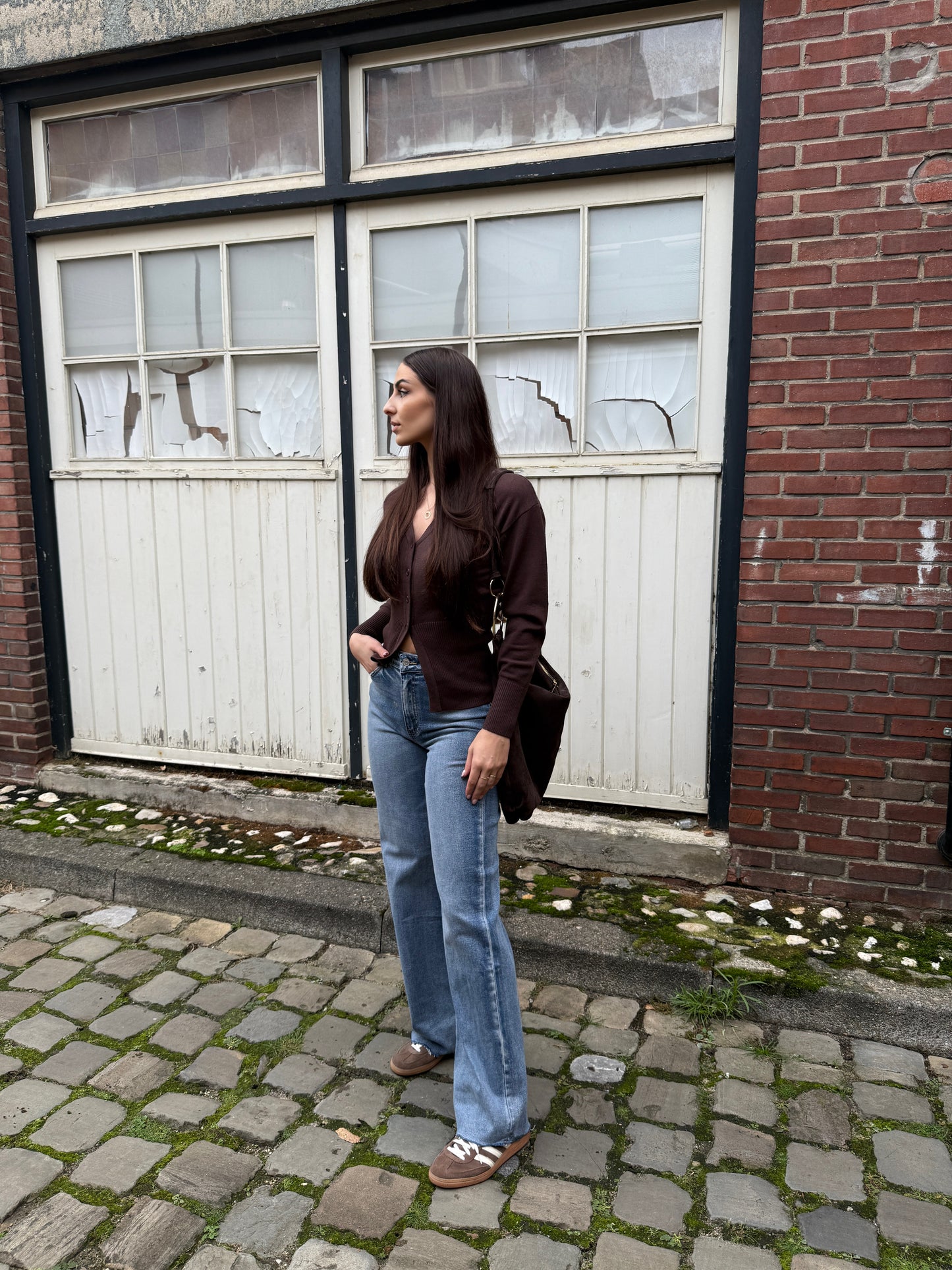 Vest met v-hals bruin