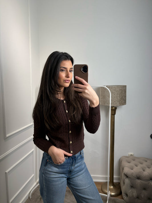 Gina vest met knopen bruin