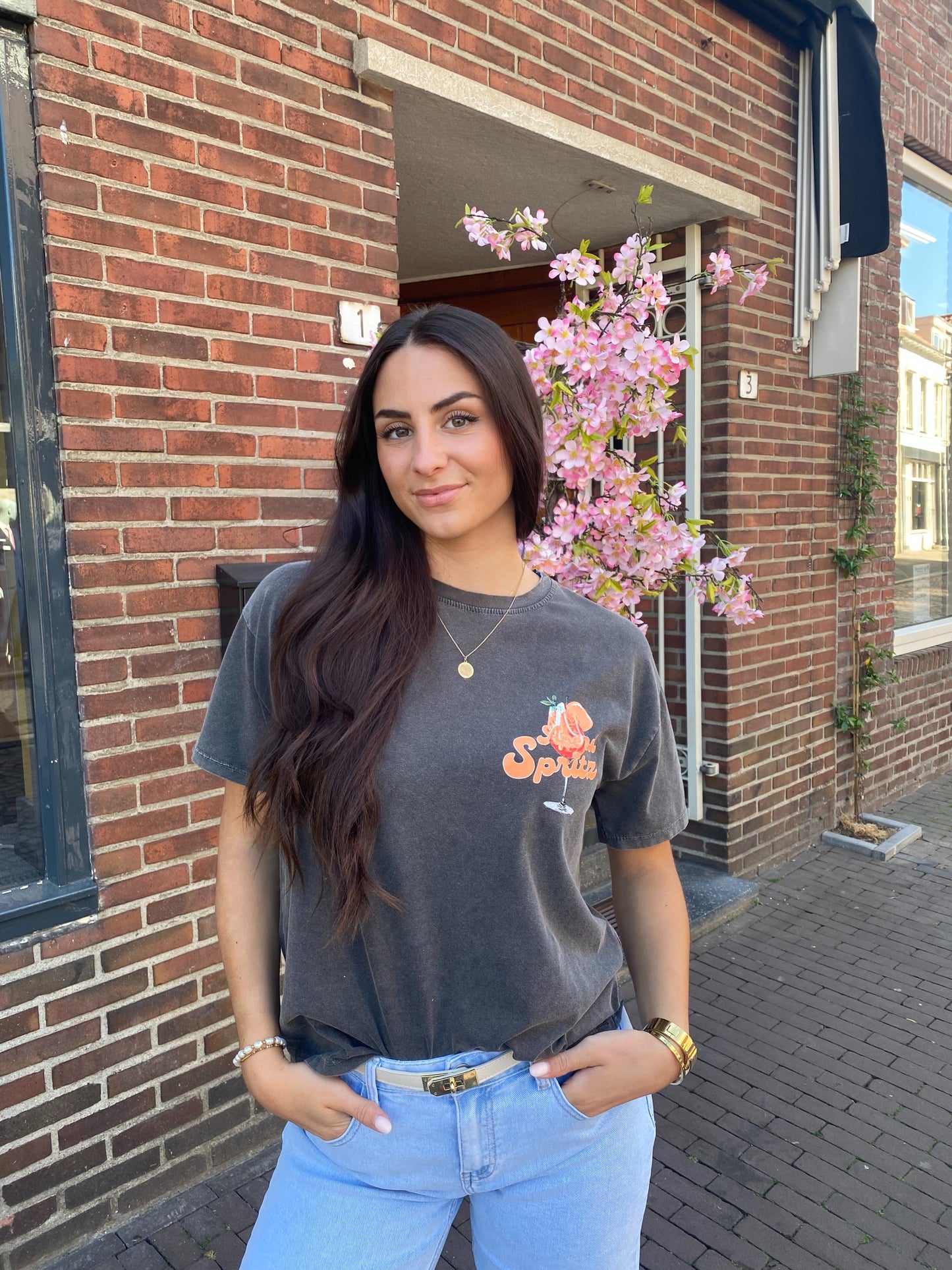 Aperol Spritz T-shirt Grijs